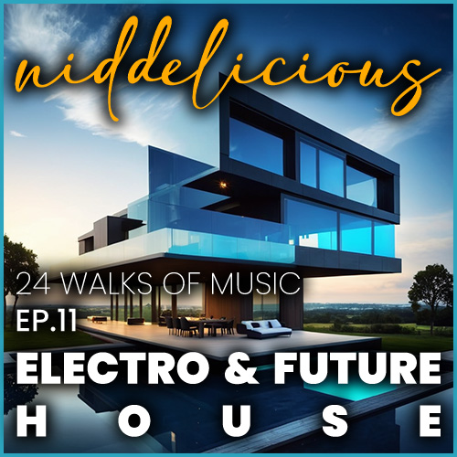 Cover art for 24 Walks of Music Ep.11 - Electro & Future House