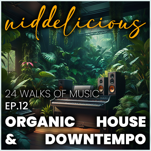 Cover art for 24 Walks of Music Ep.12 - Organic House & Downtempo