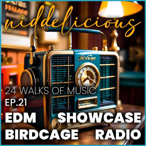 Cover art for 24 Walks of Music Ep. 21 - EDM Showcase - Birdcage Radio