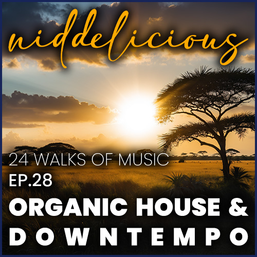 Cover art for 24 Walks of Music Ep. 28 - Organic House & Downtempo