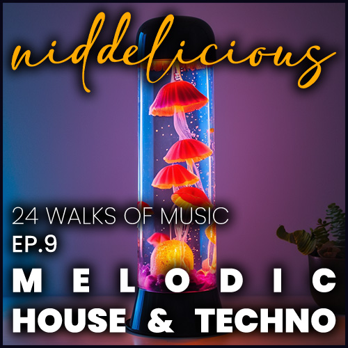 Cover art for 24 Walks of Music Ep. 9 - Melodic House & Techno