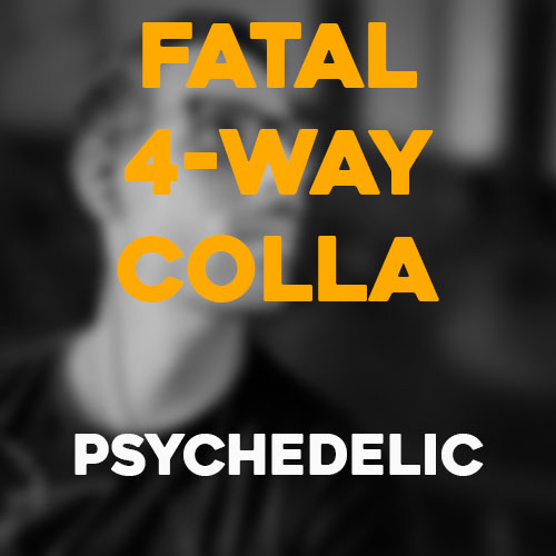 Cover art for Fatal 4-Way Collaboration